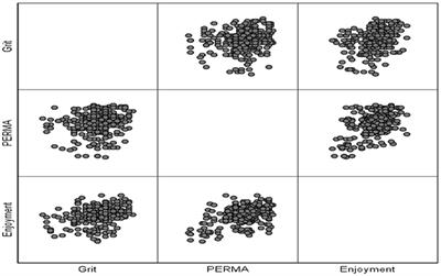 Exploring the Relationship Between Chinese EFL Students' Grit, Well-Being, and Classroom Enjoyment